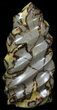 Polished Septarian Twist Sculpture - lbs #59941-1